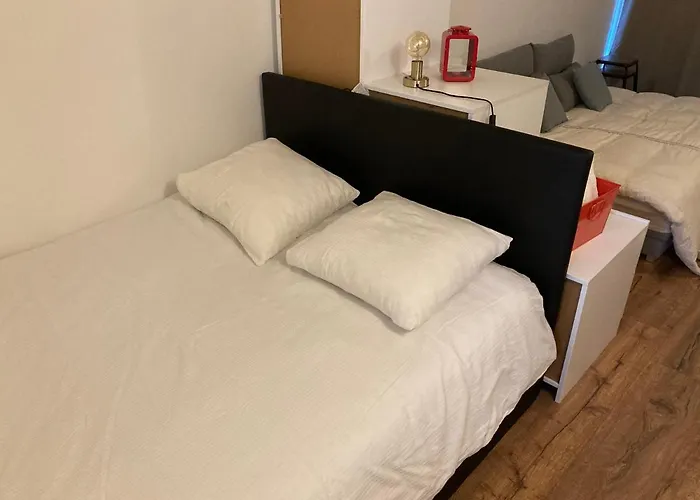 Maison Cosy Σπίτι διακοπών Pessac